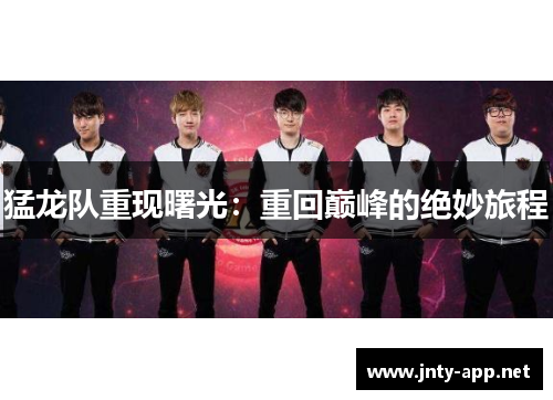 猛龙队重现曙光：重回巅峰的绝妙旅程